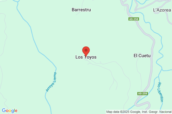 Toyos Alonso b.