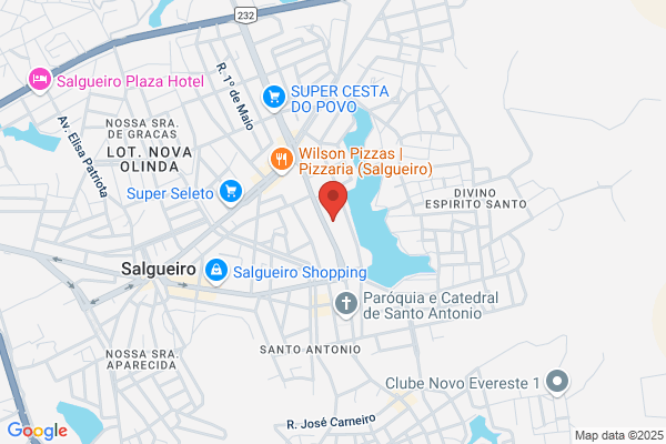 Leites Salgueiro m.