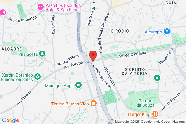 Carvisa S. A.