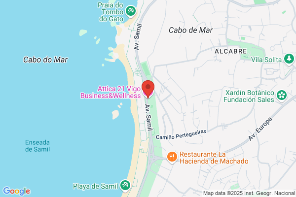 Restaurante Avenida De Samil S.L.