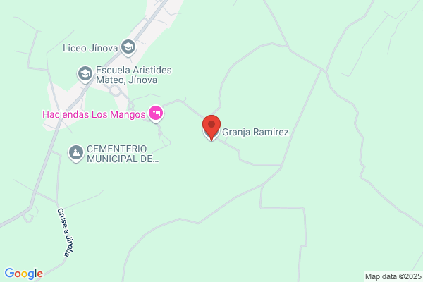 Comercial Avicola Remirez S.A.