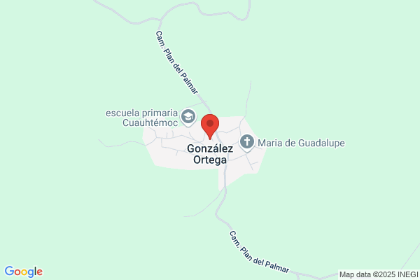 Ortega Gonzalez m. C.