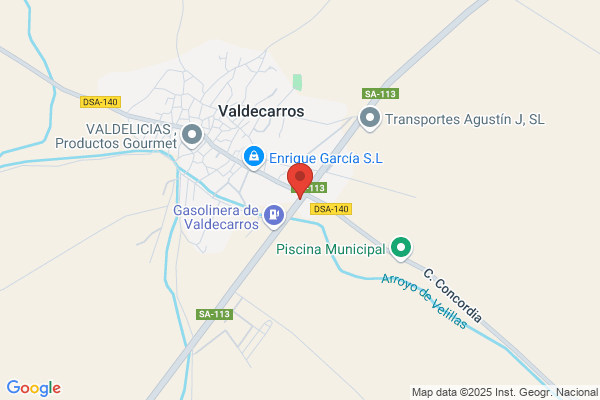 Estacion De Servicio Vicente Garcia - Tienda