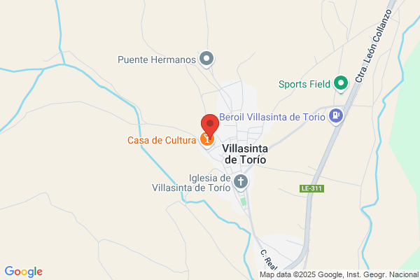 Flores Virginia - Puente Castro