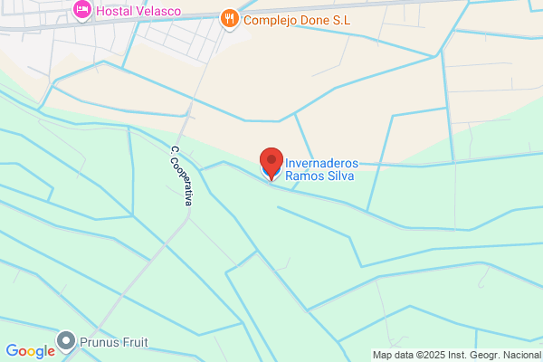 Alia Ramos m. F.