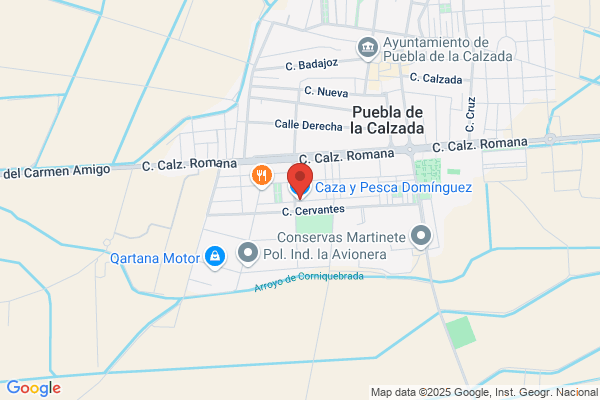 Dominguez Toro j.