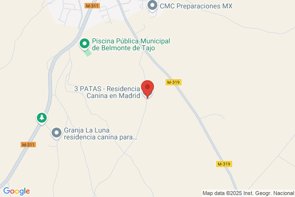 Residencia Canina Madrid | 3 patas
