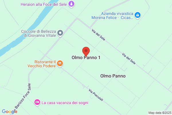 Olmo Panera s.