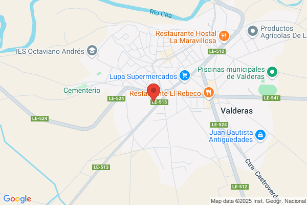 Carpintero Fonseca i.