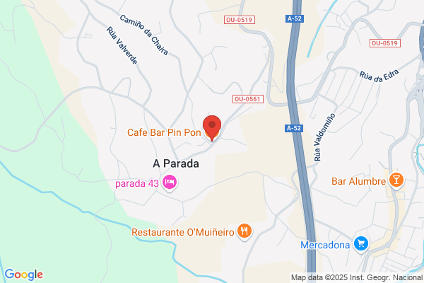 Bar Pin