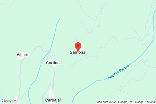 Gamonal Alvarez a.