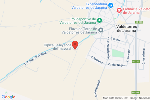 Hípica La Leyenda Del Mayoral