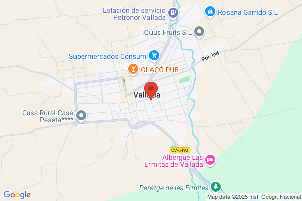 Comisiones Obreras Del Pais Valenciano-Union Local
