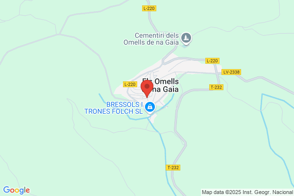 Ajuntament Dels Omells De Na Gaia
