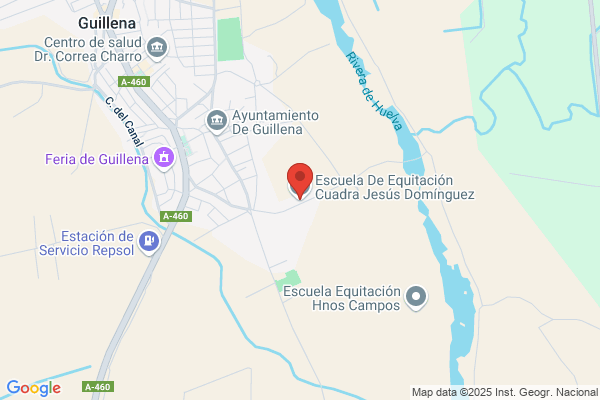 Caballo Dominguez s.