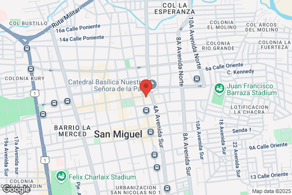 Alcalde San Miguel m.