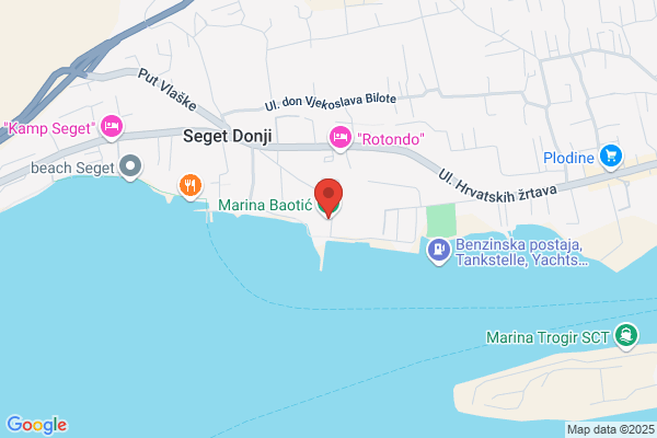 Bacaina marina