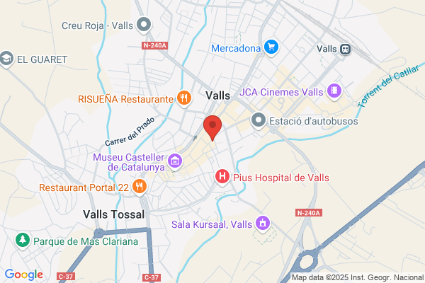 Ramon Piñas Llagostera Asesoria