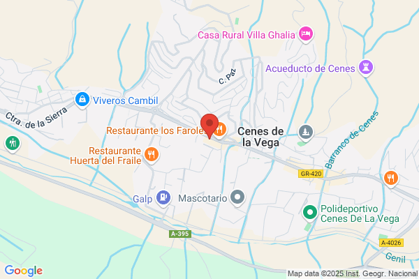 Autoescuela Cenes S.L.
