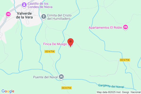 Finca De Musgo