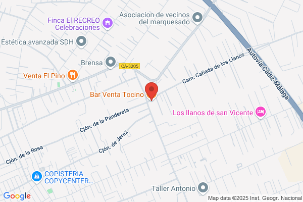 Tocino Castilla a.