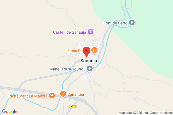 Palau Sanahuja m.