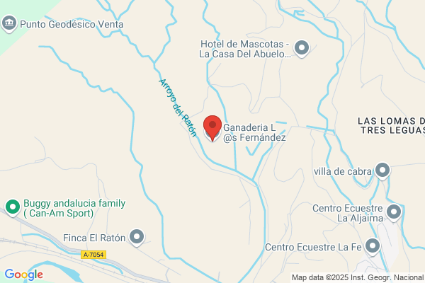 Vacas Fernandez h.