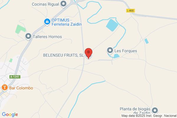 BELENSEU FRUITS, S.L