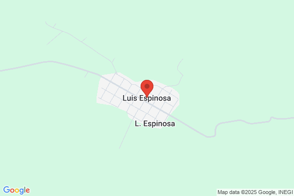 Miguel De Luis Espinosa