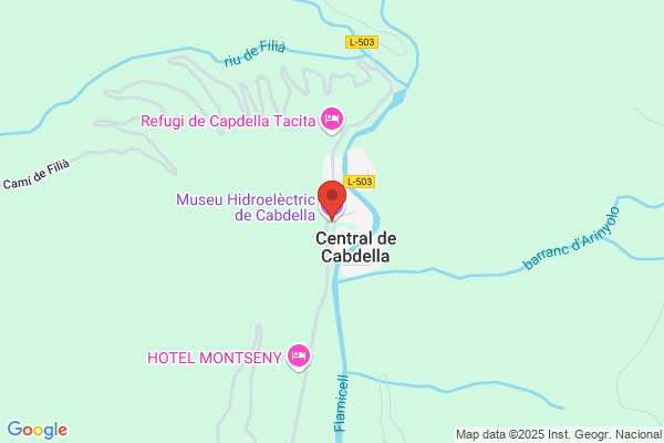 Fuerzas Electricas De Catalunya S.A.