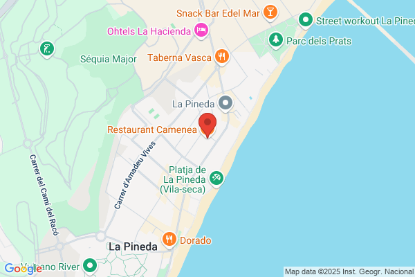Restaurante Camenea