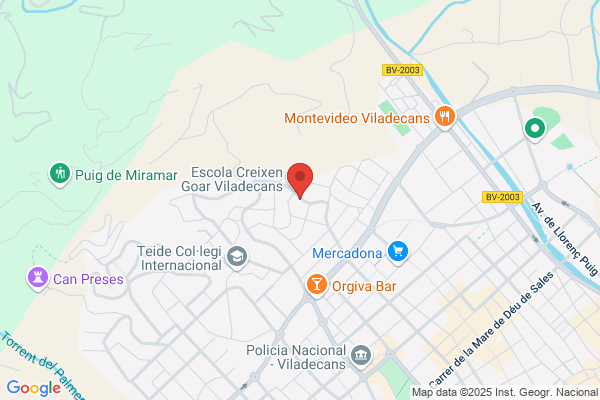 Centre De Dia Viladecans Sant Joan De Déu - Serveis De Salut mental
