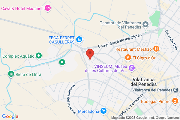 CONSELL ESPORTIU ALT PENEDES