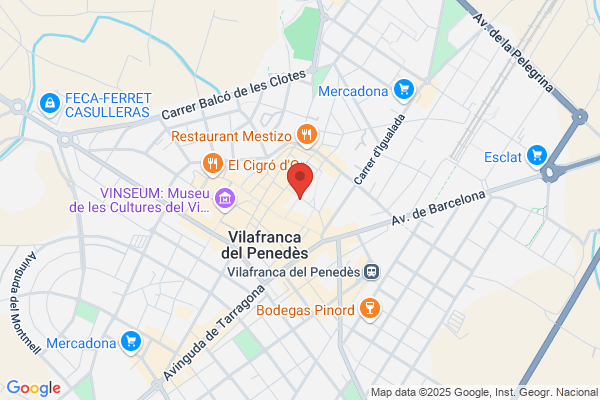 Colegio El Carme-Sant Elies