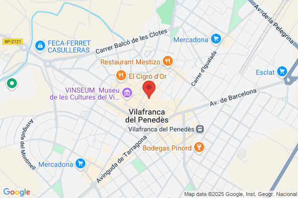 Optica Del Penedes S.L.