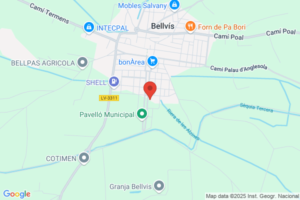 Palacin Buil j.