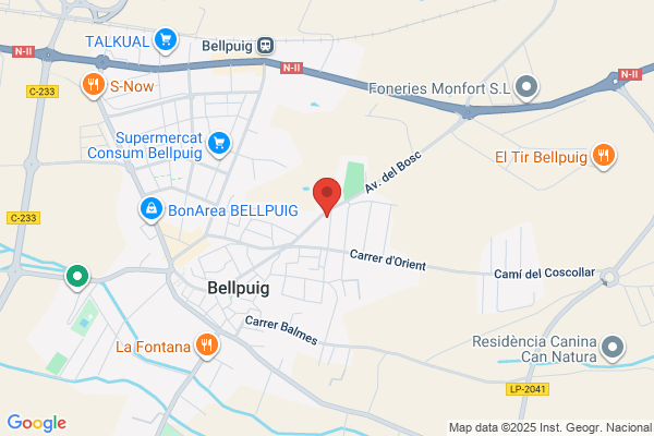 Gestió i Serveis Funeraris Bellpuig