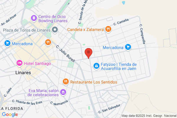 Endesa Servicios S.L. Sociedad Unipersonal