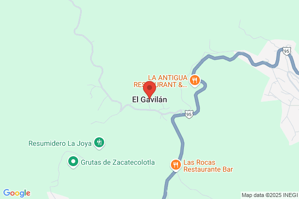 Guerrero Gavilan f.