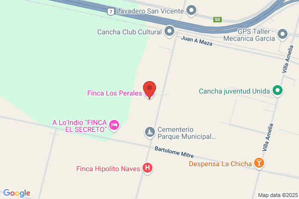 Mendoza Perales l.