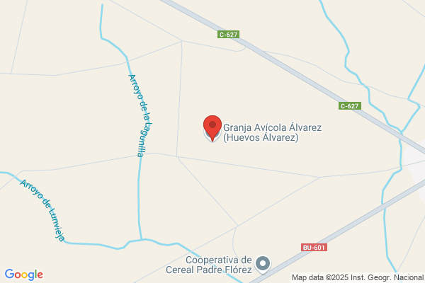 Alvarez Gamazo a.