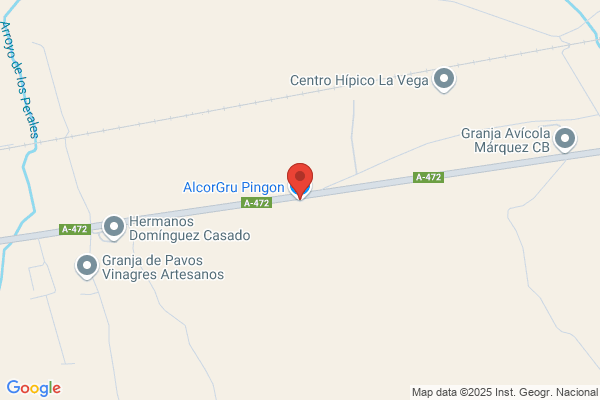 Borregero Pineda r.