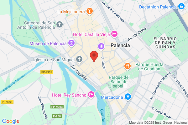 Correas Palencia p. P.
