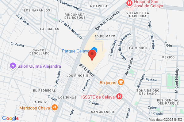 Celaya Parreño a.