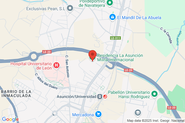Residencia De La Asuncion S.L.