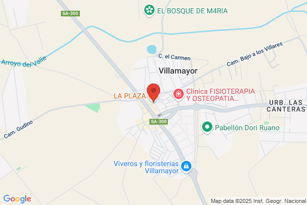 Servicio De Restauracion Y Hosteleria La Plaza