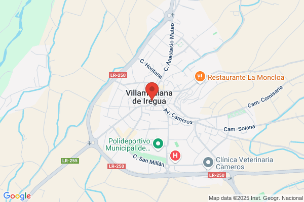 Carniceria Vicen