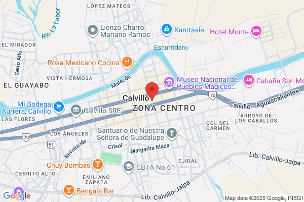 Calvillo Hidalgo m. A.