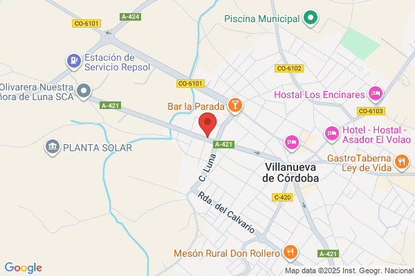 Bueno Palomares j.