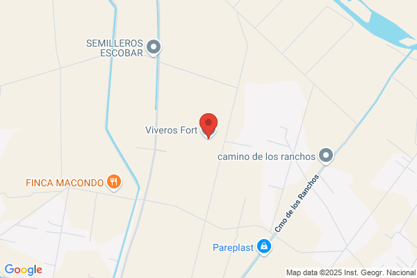 Viveros Ramon Lafuente C.B.
